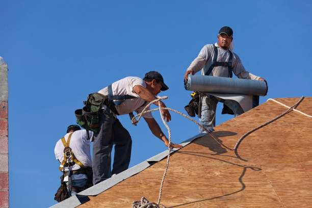 Best Flat Roof Repair Services  in Monmouth, IL