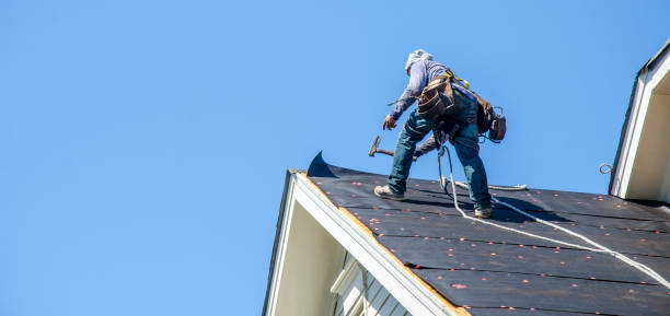 Best Roof Gutter Cleaning  in Monmouth, IL